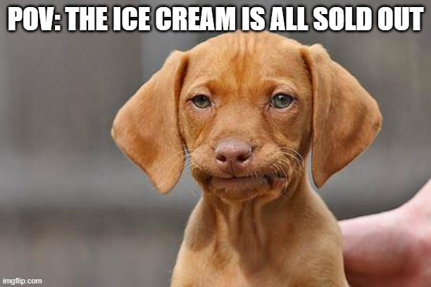 Dissapointed puppy | POV: THE ICE CREAM IS ALL SOLD OUT | image tagged in dissapointed puppy | made w/ Imgflip meme maker