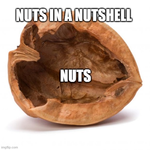 nut | NUTS IN A NUTSHELL; NUTS | image tagged in nuts,nut,funny | made w/ Imgflip meme maker