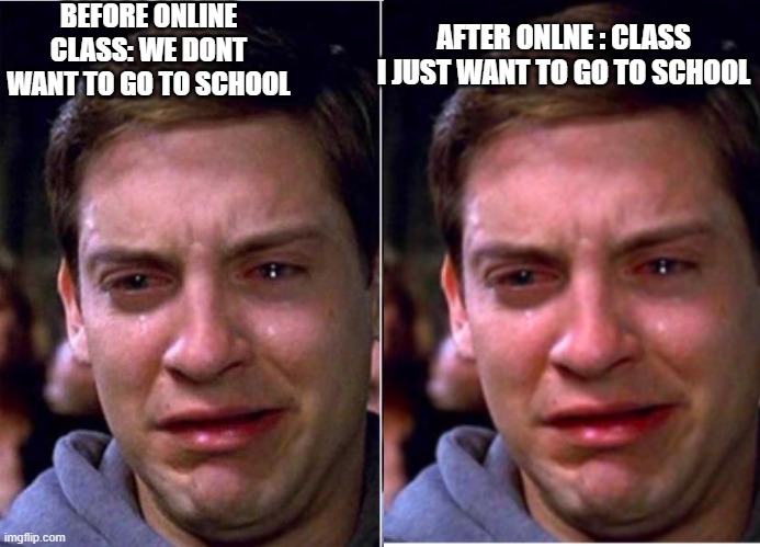 both are a problem | BEFORE ONLINE CLASS: WE DONT WANT TO GO TO SCHOOL; AFTER ONLNE : CLASS I JUST WANT TO GO TO SCHOOL | image tagged in peter parker cry | made w/ Imgflip meme maker