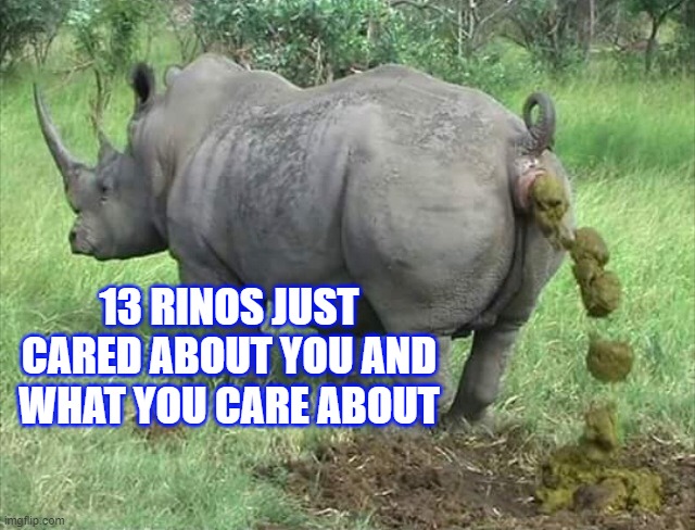 rinos are communist | 13 RINOS JUST CARED ABOUT YOU AND WHAT YOU CARE ABOUT | image tagged in rino,fake,liars,commie,foward | made w/ Imgflip meme maker