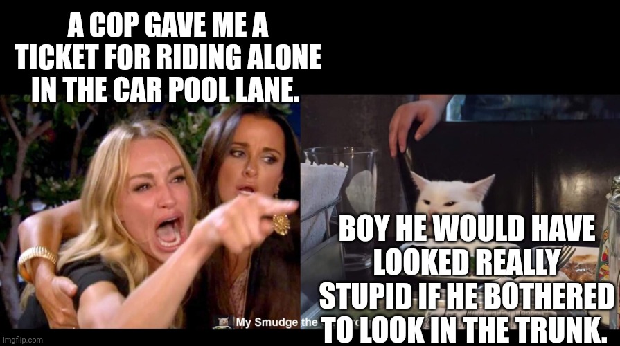 A COP GAVE ME A TICKET FOR RIDING ALONE IN THE CAR POOL LANE. BOY HE WOULD HAVE LOOKED REALLY STUPID IF HE BOTHERED TO LOOK IN THE TRUNK. | image tagged in smudge the cat | made w/ Imgflip meme maker