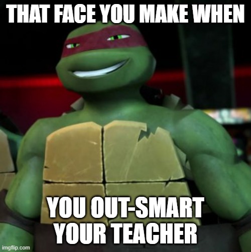 Smirk |  THAT FACE YOU MAKE WHEN; YOU OUT-SMART YOUR TEACHER | image tagged in tmnt,smirk,teacher,you may have outsmarted me but i outsmarted your understanding | made w/ Imgflip meme maker