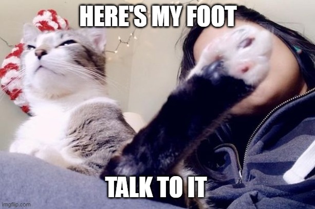 HERE'S MY FOOT; TALK TO IT | image tagged in meme,memes,cat,cats | made w/ Imgflip meme maker