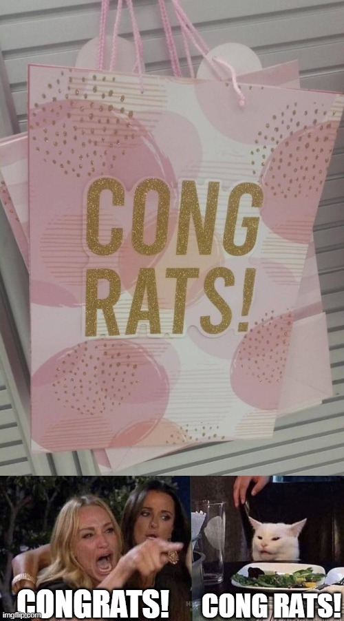  CONGRATS! CONG RATS! | image tagged in woman yelling at cat,meme,memes,bag | made w/ Imgflip meme maker