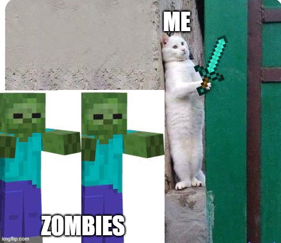 Me when i see minecraft zombies in mines |  ME; ZOMBIES | image tagged in hidden cat,minecraft,zombies,diamond,funny,relatable | made w/ Imgflip meme maker