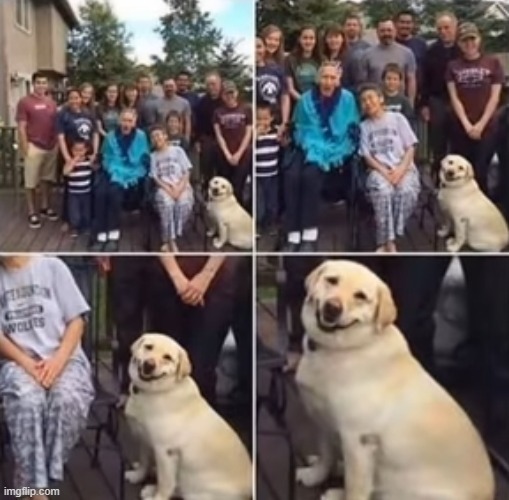 this god poses way better than me | image tagged in dogs | made w/ Imgflip meme maker