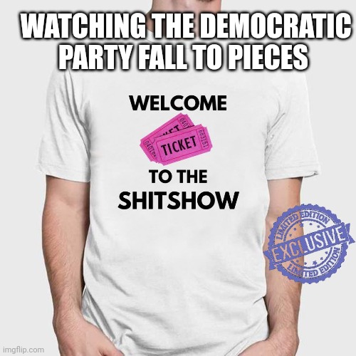 WATCHING THE DEMOCRATIC
 PARTY FALL TO PIECES | image tagged in funny memes | made w/ Imgflip meme maker