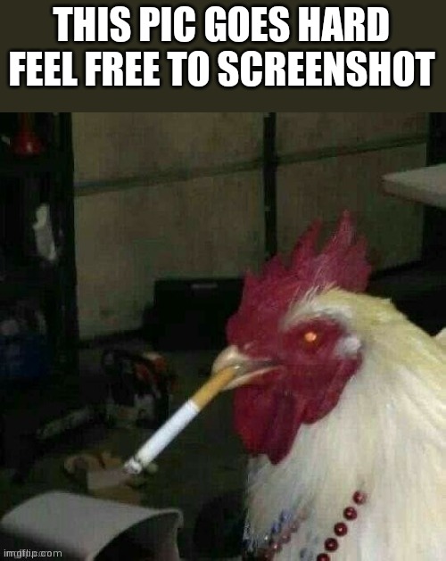 Nwjsjauhwhw | THIS PIC GOES HARD
FEEL FREE TO SCREENSHOT | image tagged in smoking rooster | made w/ Imgflip meme maker