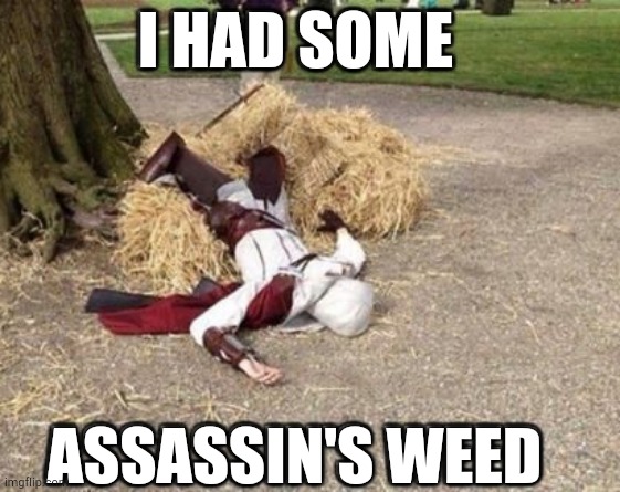 don't do drugs | I HAD SOME; ASSASSIN'S WEED | image tagged in gaming,assassins creed,drugs are bad,don't do drugs | made w/ Imgflip meme maker