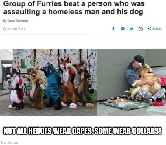 This is the best- |  NOT ALL HEROES WEAR CAPES. SOME WEAR COLLARS! | image tagged in furry,furries,hero,news,headline,memes | made w/ Imgflip meme maker