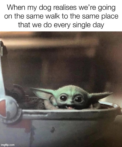 image tagged in funny memes,memes,baby yoda | made w/ Imgflip meme maker