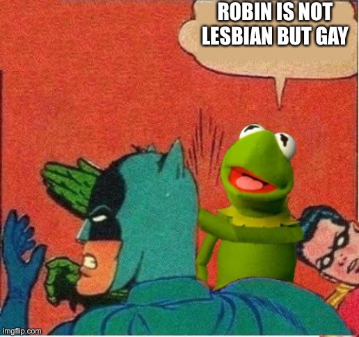 Kermit saving Robin | ROBIN IS NOT LESBIAN BUT GAY | image tagged in kermit saving robin | made w/ Imgflip meme maker