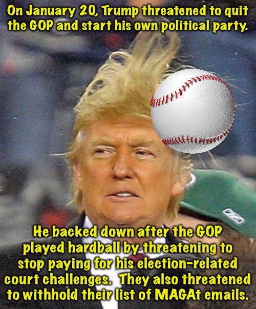 GOP hardballs Trump | On January 20, Trump threatened to quit the GOP and start his own political party. He backed down after the GOP played hardball by threatening to stop paying for his election-related court challenges.  They also threatened to withhold their list of MAGAt emails. | image tagged in donald trumph hair | made w/ Imgflip meme maker