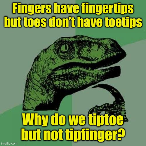 Philosoraptor | Fingers have fingertips but toes don’t have toetips; Why do we tiptoe but not tipfinger? | image tagged in memes,philosoraptor | made w/ Imgflip meme maker