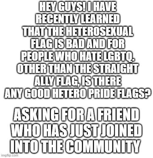 I seen some designs around, but I thought I should ask the community itself :) | HEY GUYS! I HAVE RECENTLY LEARNED THAT THE HETEROSEXUAL FLAG IS BAD AND FOR PEOPLE WHO HATE LGBTQ. OTHER THAN THE STRAIGHT ALLY FLAG, IS THERE ANY GOOD HETERO PRIDE FLAGS? ASKING FOR A FRIEND WHO HAS JUST JOINED INTO THE COMMUNITY | image tagged in blank template,lgbtq,pride | made w/ Imgflip meme maker