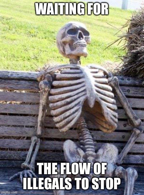 Waiting Skeleton Meme | WAITING FOR THE FLOW OF ILLEGALS TO STOP | image tagged in memes,waiting skeleton | made w/ Imgflip meme maker