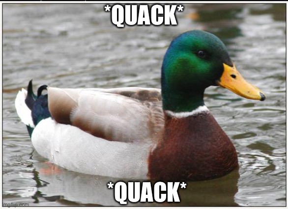 QUACK | *QUACK*; *QUACK* | image tagged in memes,actual advice mallard | made w/ Imgflip meme maker