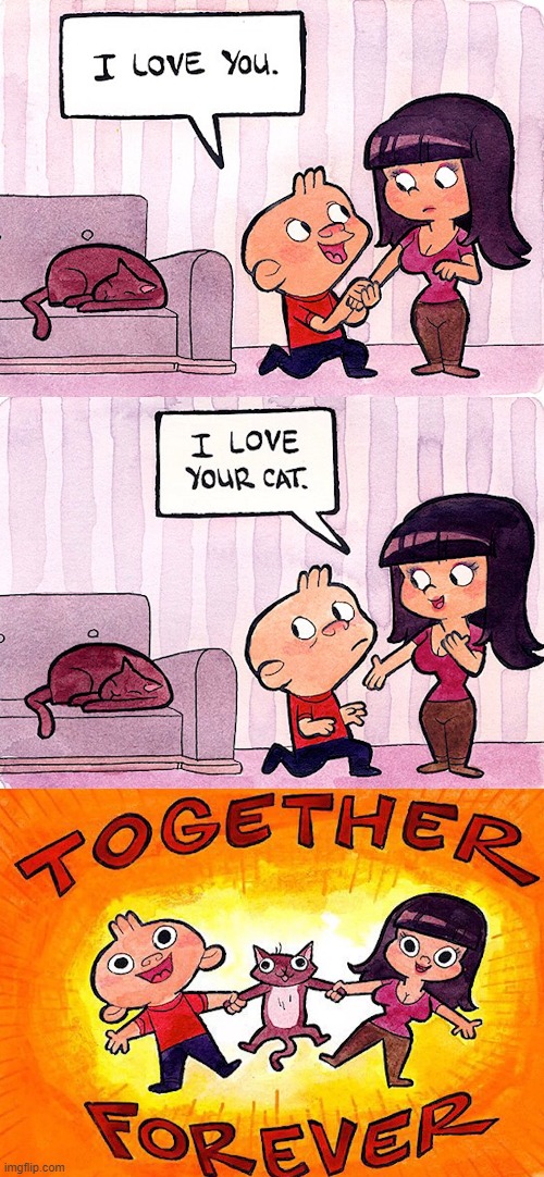 would you rather a cat or a friend ? | image tagged in cats | made w/ Imgflip meme maker