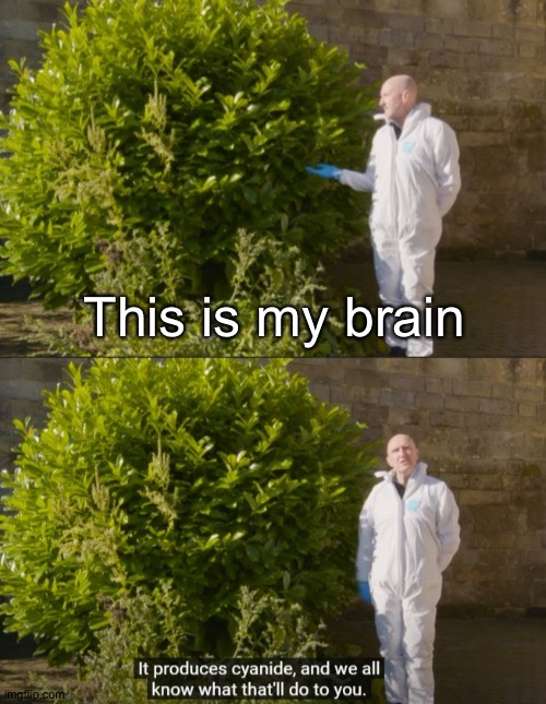 This is X, it produces cyanide | This is my brain | image tagged in this is x it produces cyanide | made w/ Imgflip meme maker