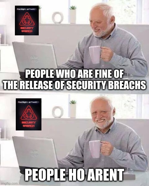 a good fan a bad fan | PEOPLE WHO ARE FINE OF THE RELEASE OF SECURITY BREACHS; PEOPLE HO ARENT | image tagged in memes,hide the pain harold | made w/ Imgflip meme maker
