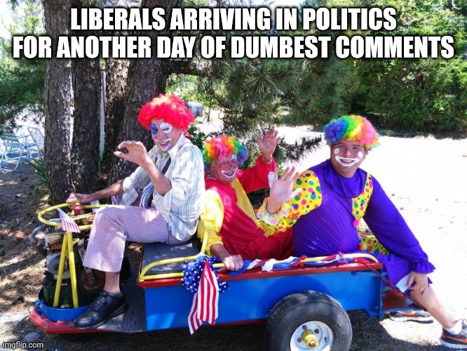 clown car | LIBERALS ARRIVING IN POLITICS FOR ANOTHER DAY OF DUMBEST COMMENTS | image tagged in clown car | made w/ Imgflip meme maker