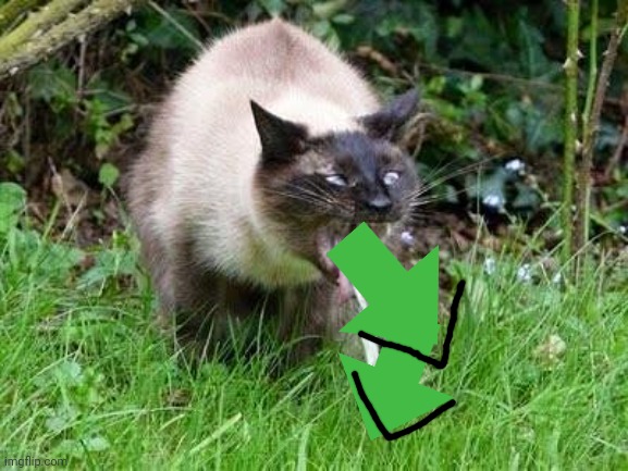 Cat Barfing | image tagged in cat barfing | made w/ Imgflip meme maker