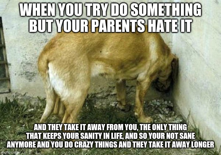 Time Out | WHEN YOU TRY DO SOMETHING BUT YOUR PARENTS HATE IT; AND THEY TAKE IT AWAY FROM YOU, THE ONLY THING THAT KEEPS YOUR SANITY IN LIFE, AND SO YOUR NOT SANE ANYMORE AND YOU DO CRAZY THINGS AND THEY TAKE IT AWAY LONGER | image tagged in time out | made w/ Imgflip meme maker