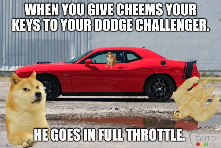 WHEN YOU GIVE CHEEMS YOUR KEYS TO YOUR DODGE CHALLENGER. HE GOES IN FULL THROTTLE. | image tagged in funny memes | made w/ Imgflip meme maker