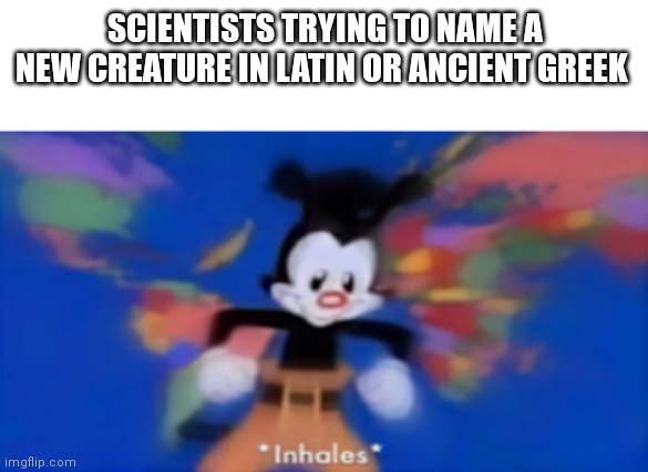 No creative title... | SCIENTISTS TRYING TO NAME A NEW CREATURE IN LATIN OR ANCIENT GREEK | image tagged in yakko inhale,oh wow are you actually reading these tags,memes,funny,funny memes | made w/ Imgflip meme maker