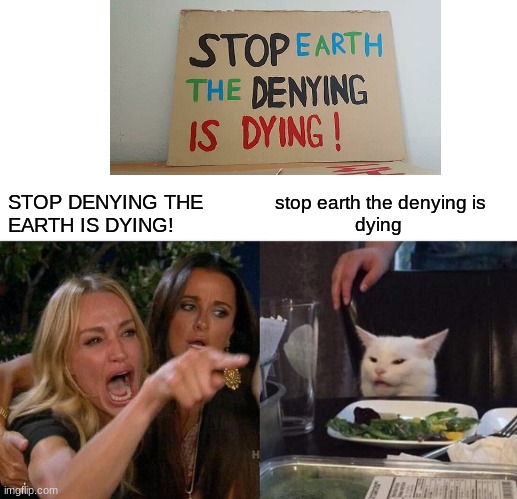 Stop earth the denying is dying! :O | STOP DENYING THE 
EARTH IS DYING! stop earth the denying is
                dying | image tagged in memes,woman yelling at cat | made w/ Imgflip meme maker