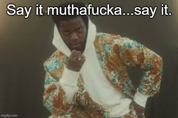 Fly | Say it muthafucka...say it. | image tagged in fly | made w/ Imgflip meme maker