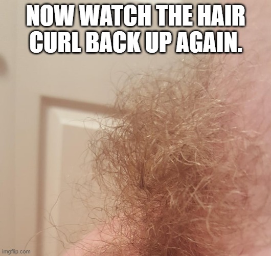 NOW WATCH THE HAIR CURL BACK UP AGAIN. | made w/ Imgflip meme maker