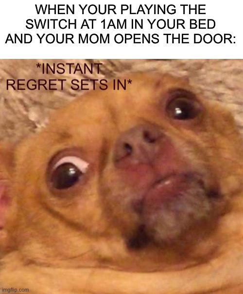 What have I done? | WHEN YOUR PLAYING THE SWITCH AT 1AM IN YOUR BED AND YOUR MOM OPENS THE DOOR: | image tagged in instant regret sets in,i have sinned,what have i done,dog,memes,mom | made w/ Imgflip meme maker