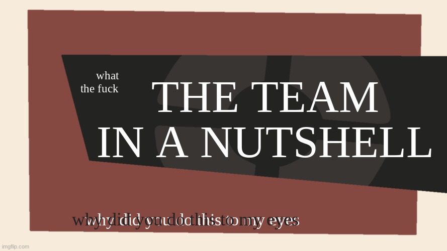 Meet the <Blank> | what the fuck THE TEAM IN A NUTSHELL why did you do this to my eyes why did you do this to my eyes | image tagged in meet the blank | made w/ Imgflip meme maker