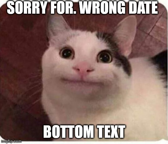 Polite Cat | SORRY FOR. WRONG DATE BOTTOM TEXT | image tagged in polite cat | made w/ Imgflip meme maker