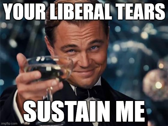 Another glass? | YOUR LIBERAL TEARS; SUSTAIN ME | image tagged in wolf of wall street,liberals,liberal tears,memes | made w/ Imgflip meme maker