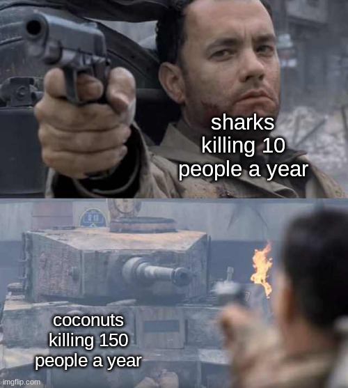 coconut |  sharks killing 10 people a year; coconuts killing 150 people a year | image tagged in tom hanks tank,coconut,funny,memes,shark,oh wow are you actually reading these tags | made w/ Imgflip meme maker