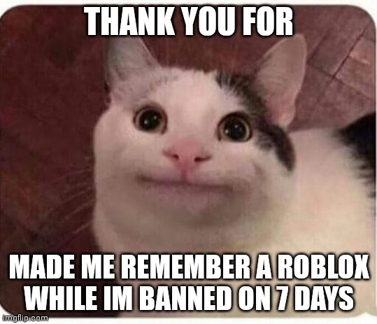 Polite Cat | THANK YOU FOR MADE ME REMEMBER A ROBLOX WHILE IM BANNED ON 7 DAYS | image tagged in polite cat | made w/ Imgflip meme maker