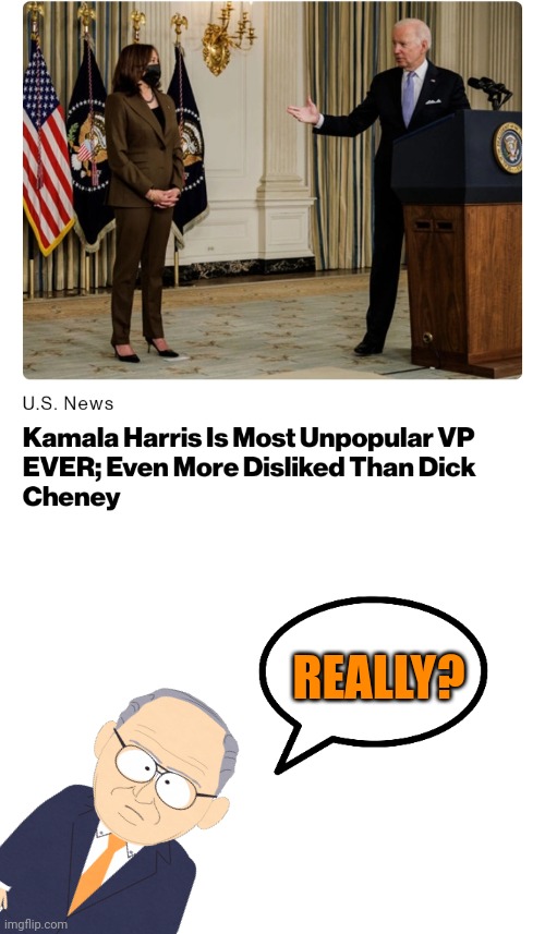 REALLY? | image tagged in blank white template,funny memes,political meme | made w/ Imgflip meme maker