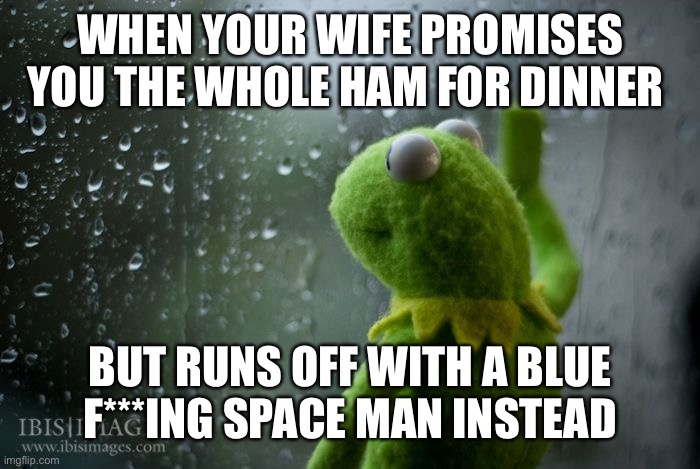 Whole ham | WHEN YOUR WIFE PROMISES YOU THE WHOLE HAM FOR DINNER; BUT RUNS OFF WITH A BLUE F***ING SPACE MAN INSTEAD | image tagged in kermit window | made w/ Imgflip meme maker