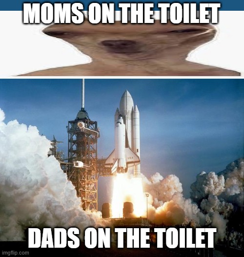 dad vs mom on the toilet :/ | MOMS ON THE TOILET; DADS ON THE TOILET | image tagged in rocket launch | made w/ Imgflip meme maker