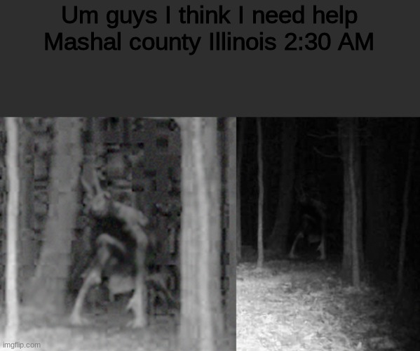 spotted this on the trail cam. been seeing a lot of weird deer lately | Um guys I think I need help

Mashal county Illinois 2:30 AM | image tagged in crusader | made w/ Imgflip meme maker