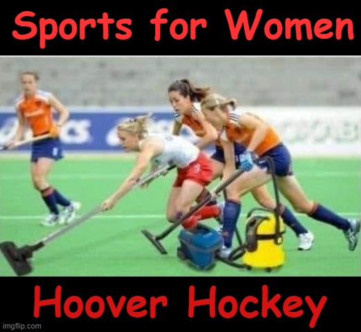 Women`s Sports | Sports for Women; Hoover Hockey | image tagged in vacuum cleaner | made w/ Imgflip meme maker