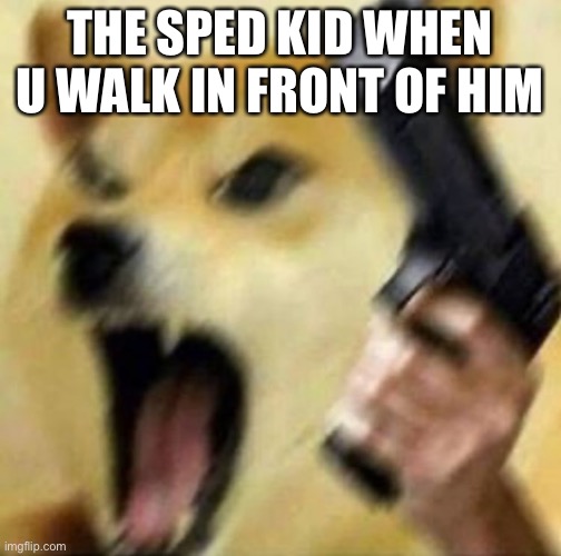 Dark joke i guess? | THE SPED KID WHEN U WALK IN FRONT OF HIM | image tagged in angry doge with gun | made w/ Imgflip meme maker