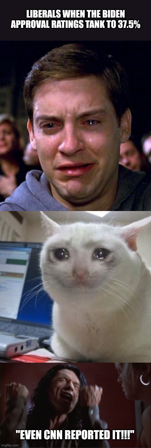 Yes yes yessssssss!!!! Let their tears flow like a river! | LIBERALS WHEN THE BIDEN APPROVAL RATINGS TANK TO 37.5%; "EVEN CNN REPORTED IT!!!" | image tagged in crying peter parker,crying cat,you are tearing me apart | made w/ Imgflip meme maker