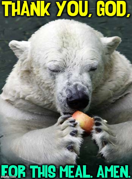 Being Thankful for the Gifts of the Earth |  THANK YOU, GOD, FOR THIS MEAL. AMEN. | image tagged in vince vance,polar bear,grace,apple,meal,memes | made w/ Imgflip meme maker