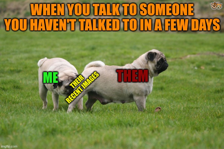 relatable? | WHEN YOU TALK TO SOMEONE YOU HAVEN'T TALKED TO IN A FEW DAYS; THEM; ME; THEIR RECENT IMAGES | image tagged in pug sniffing pug's butt | made w/ Imgflip meme maker