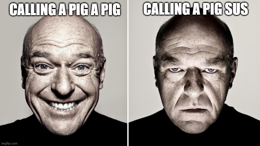 Dean Norris's reaction | CALLING A PIG SUS; CALLING A PIG A PIG | image tagged in dean norris's reaction | made w/ Imgflip meme maker