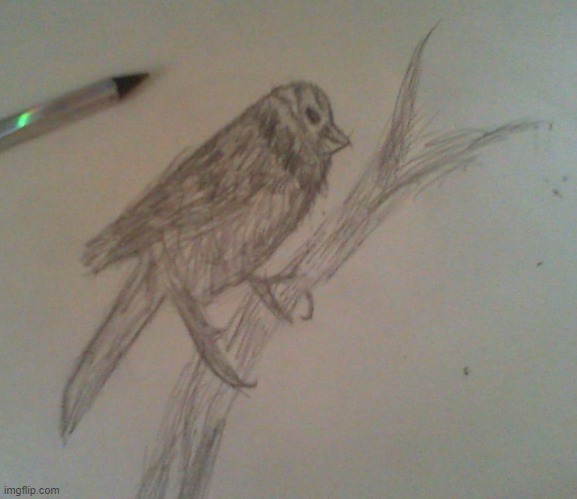 birb | made w/ Imgflip meme maker
