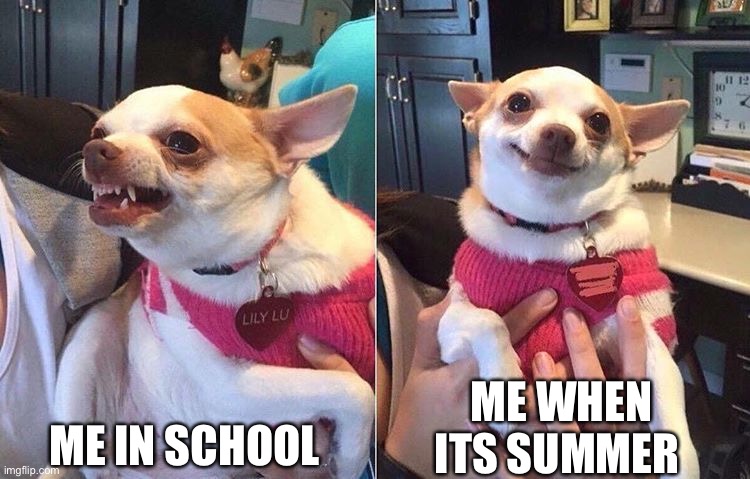 angry dog meme | ME IN SCHOOL; ME WHEN ITS SUMMER | image tagged in angry dog meme | made w/ Imgflip meme maker